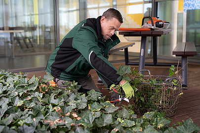 Simon Schmidthöfer fühlt sich wohl auf seinem BiB-Arbeitsplatz im Gärtnerteam der Uni Gießen. (Fotos: Rolf K. Wegst) Simon Schmidthöfer bei der Gartenarbeit