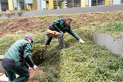Simon Schmidthöfer (rechts) arbeitet gern mit seinem Vorarbeiter Nils Schwantes zusammen. Simon Schmidthöfer mit Vorarbeiter Nils Schwantes